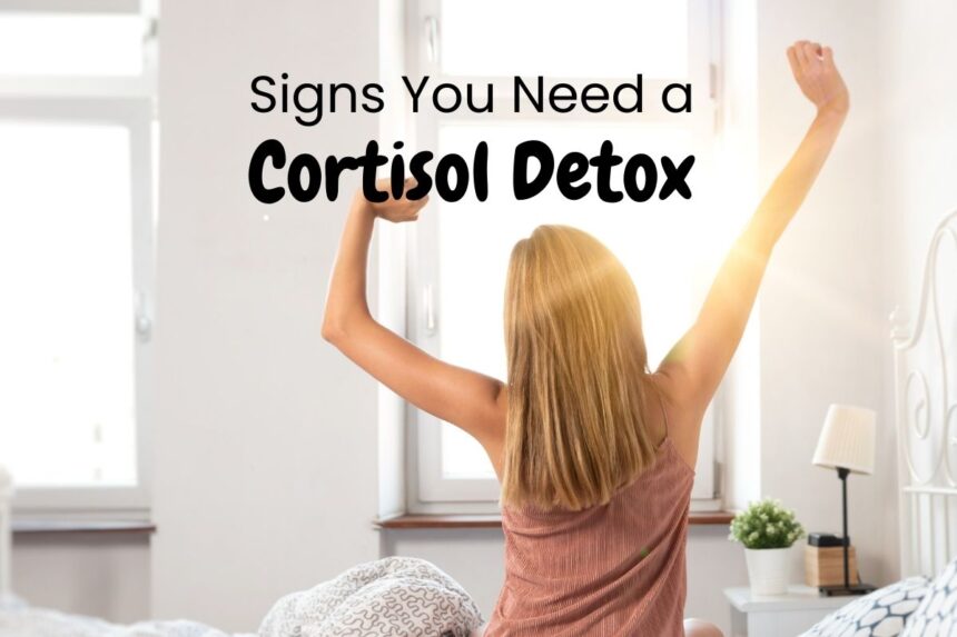 Do You Need a Cortisol Detox?