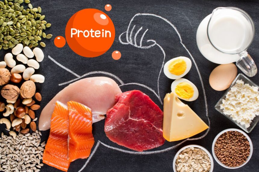 Why You NEED to Prioritize Protein in Your Diet