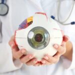 Doctor holding model of an eyeball