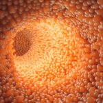 Could an Intestinal Procedure Be the Future of Type 2 Diabetes Therapy?